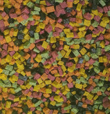 میوه خشک حبه ای (سفارشات عمده)